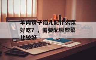 羊肉饺子馅儿配什么菜好吃？，需要配哪些菜比较好