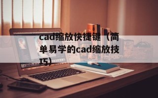 中山国际人网（了解中山国际人网的发展历程与业务特点）
