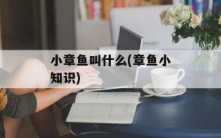 小章鱼叫什么(章鱼小知识)