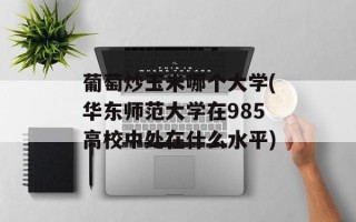 葡萄炒玉米哪个大学(华东师范大学在985高校中处在什么水平)