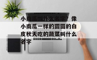小南瓜叫什么名字？像小南瓜一样的圆圆的白皮秋天吃的蔬菜叫什么名字