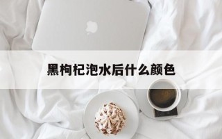 黑枸杞泡水后什么颜色