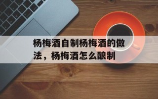 杨梅酒自制杨梅酒的做法，杨梅酒怎么酿制