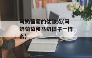 马奶葡萄的优缺点(马奶葡萄和马奶提子一样么)