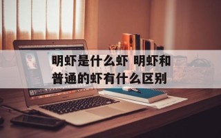 明虾是什么虾 明虾和普通的虾有什么区别