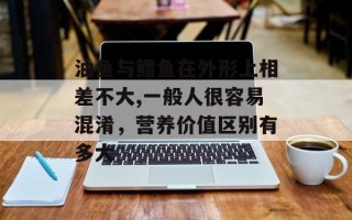 油鱼与鳕鱼在外形上相差不大,一般人很容易混淆，营养价值区别有多大