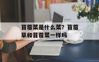 苜蓿菜是什么菜？苜蓿草和苜蓿菜一样吗