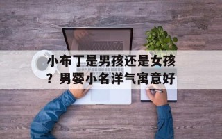 小布丁是男孩还是女孩？男婴小名洋气寓意好