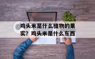 鸡头米是什么植物的果实？鸡头米是什么东西
