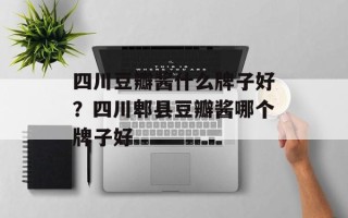 四川豆瓣酱什么牌子好？四川郫县豆瓣酱哪个牌子好