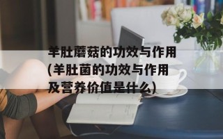 羊肚蘑菇的功效与作用(羊肚菌的功效与作用及营养价值是什么)