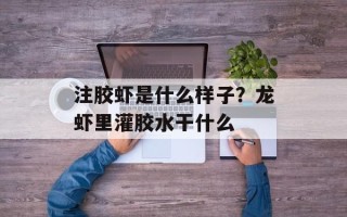 注胶虾是什么样子？龙虾里灌胶水干什么