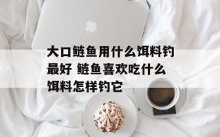 大口鲢鱼用什么饵料钓最好 鲢鱼喜欢吃什么饵料怎样钓它
