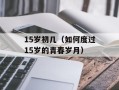 4.3防骑（骑行安全必备知识）