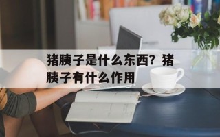 猪胰子是什么东西？猪胰子有什么作用