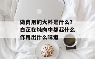 做肉用的大料是什么？白芷在炖肉中都起什么作用出什么味道