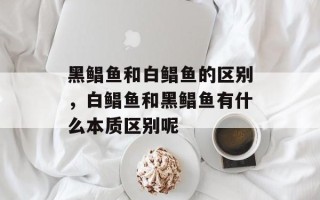 黑鲳鱼和白鲳鱼的区别，白鲳鱼和黑鲳鱼有什么本质区别呢
