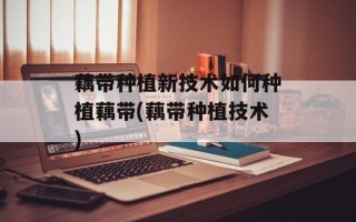 藕带种植新技术如何种植藕带(藕带种植技术)