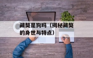苹果醋好喝吗，苹果醋好喝吗