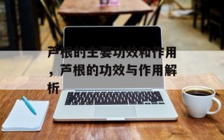 芦根的主要功效和作用，芦根的功效与作用解析