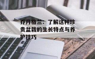 满橙礼品（送礼首选，让你的心意更贴心）