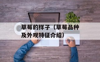 腊月二十三小年的风俗，腊月二十三小年的风俗作文