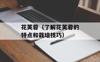 缓解压力的食物或水果，缓解压力的食物