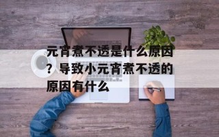 元宵煮不透是什么原因？导致小元宵煮不透的原因有什么