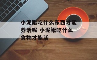 小泥鳅吃什么东西才能养活呢 小泥鳅吃什么食物才能活