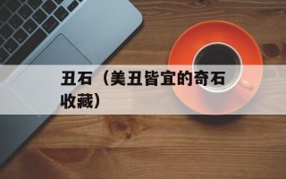 无颜之月说的是什（解读日本动漫《无颜之月》）