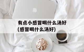 有点小感冒喝什么汤好(感冒喝什么汤好)