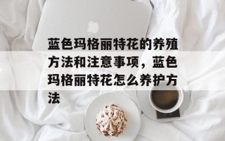 蓝色玛格丽特花的养殖方法和注意事项，蓝色玛格丽特花怎么养护方法