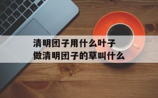 清明团子用什么叶子 做清明团子的草叫什么