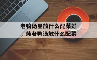 老鸭汤里放什么配菜好，炖老鸭汤放什么配菜