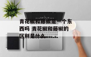 青花椒和藤椒是一个东西吗 青花椒和藤椒的区别是什么