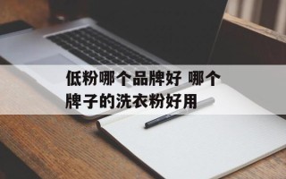 低粉哪个品牌好 哪个牌子的洗衣粉好用