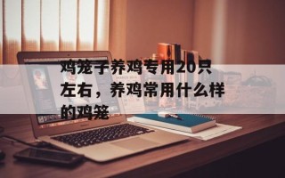 鸡笼子养鸡专用20只左右，养鸡常用什么样的鸡笼