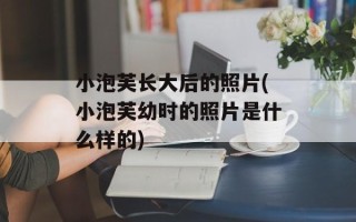 小泡芙长大后的照片(小泡芙幼时的照片是什么样的)
