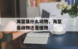 海蜇是什么动物，海蜇是动物还是植物