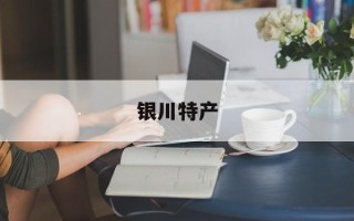 银川特产