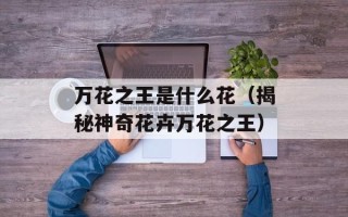 张良计过墙梯（历史上的著名谋士张良）
