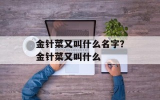 金针菜又叫什么名字？金针菜又叫什么