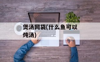 煲汤网袋(什么鱼可以炖汤)