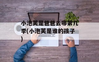 小泡芙是爸爸去哪第几季(小泡芙是谁的孩子)