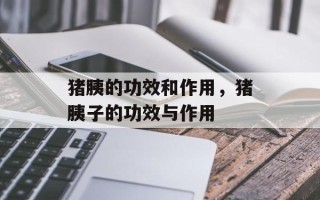 猪胰的功效和作用，猪胰子的功效与作用