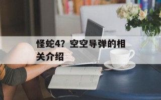 怪蛇4？空空导弹的相关介绍