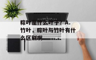 粽叶是什么叶子？A.竹叶，粽叶与竹叶有什么区别啊