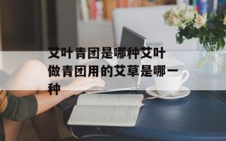艾叶青团是哪种艾叶 做青团用的艾草是哪一种