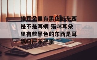 猫耳朵里有黑色脏东西是不是耳螨 猫咪耳朵里有些黑色的东西是耳螨吗严不严重