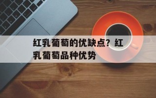 红乳葡萄的优缺点？红乳葡萄品种优势